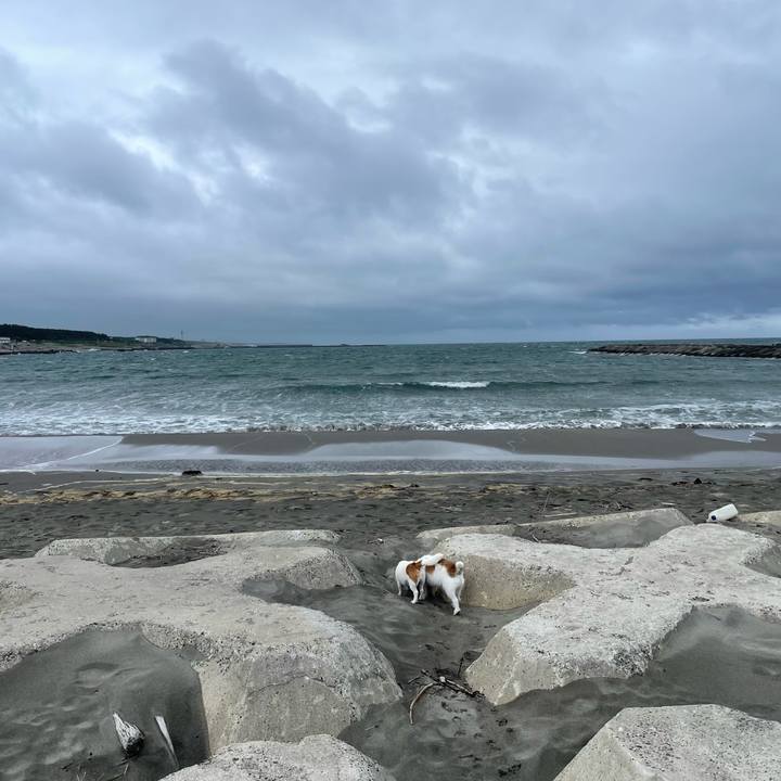 Ee5030fb 8270 49cd b8e7 68fed7ef07e5 1719185299744