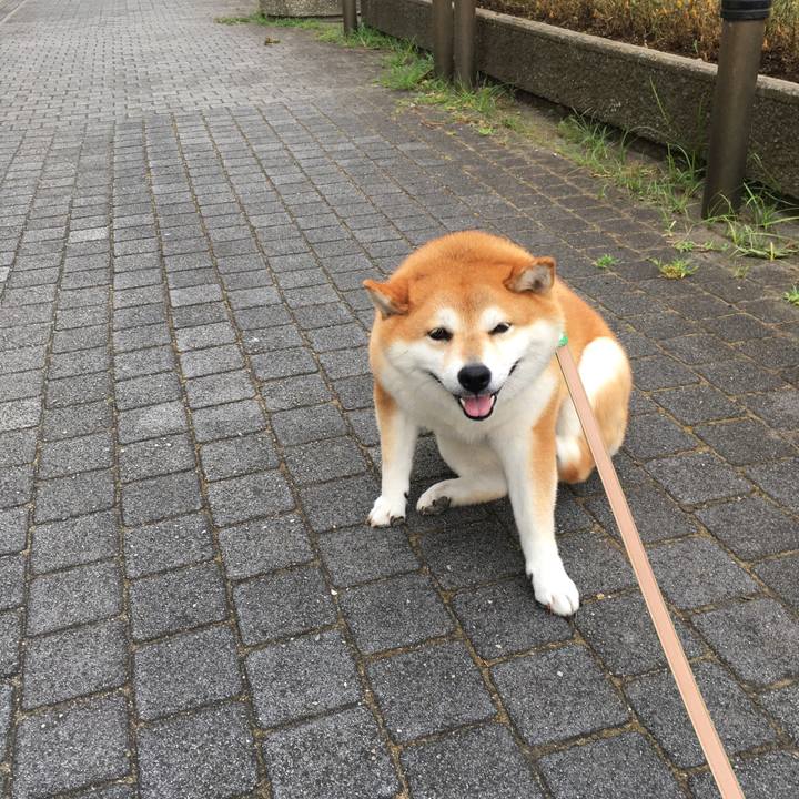 Ee503bf4 9750 4fbe a9f6 e5d510d26fde 1597705177648