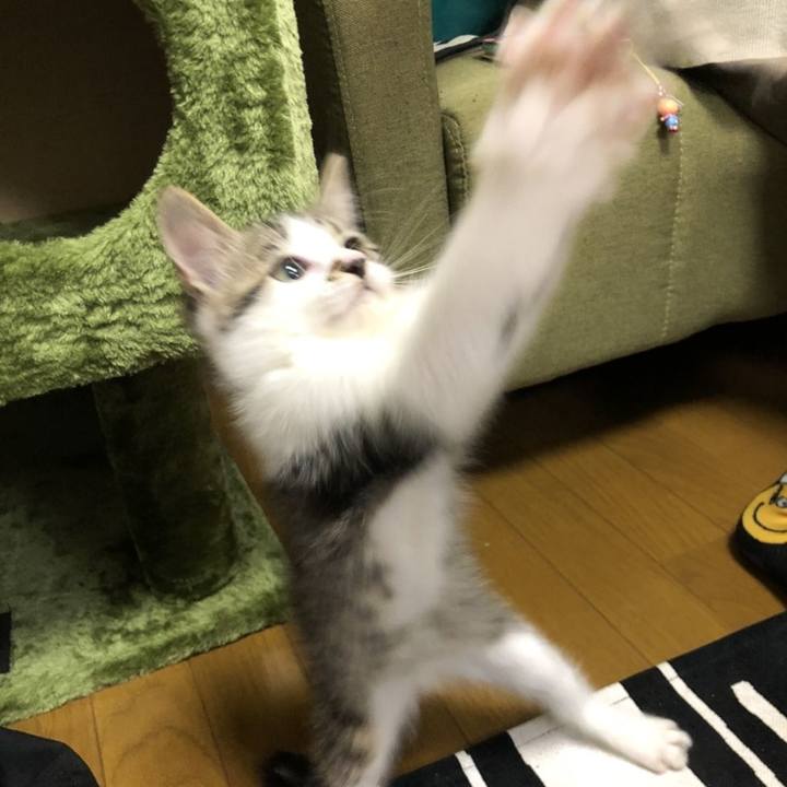 Ee50550a f9f1 4059 90d5 77f8f816a4cb 1606560748036