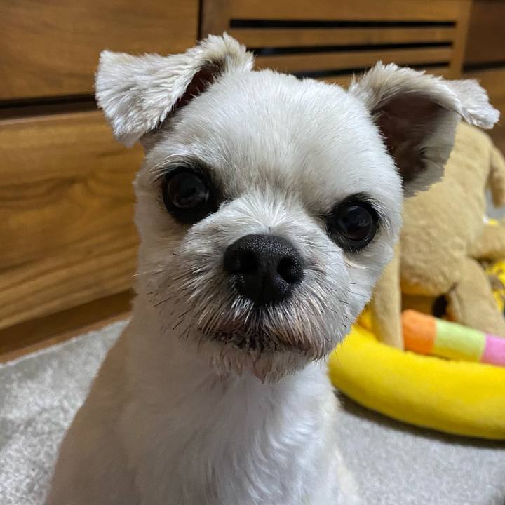 Ee507868 b0f8 4239 a385 dbf98e6b9534 1635155228594