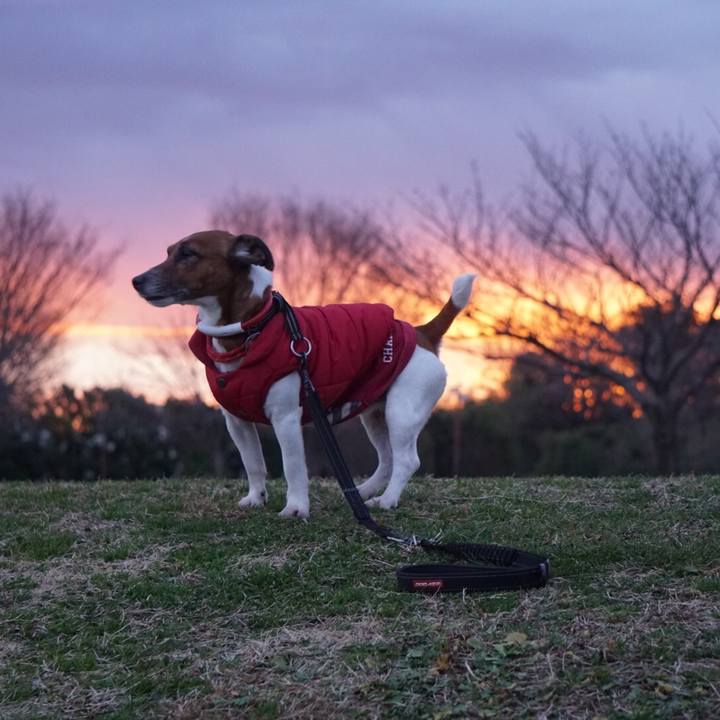 Ee5091b9 d690 4a58 a16e cf01392f2171 1580423989473