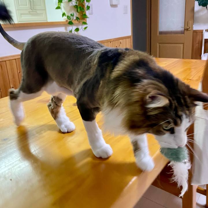 Ee50b2a6 0fc6 4f69 bca2 c4a1cad7f0b8 1719172602520