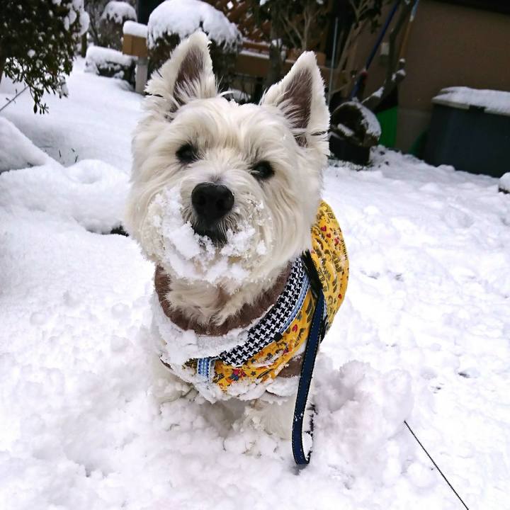 Ee50bc38 ff4b 4de1 9f32 5e698bfb1486 1513048224280