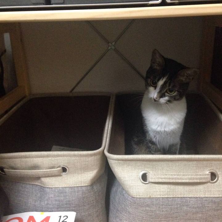 Ee50bc5f 1a39 4ab7 bb28 6a7dc7ab0f50 1512055328626