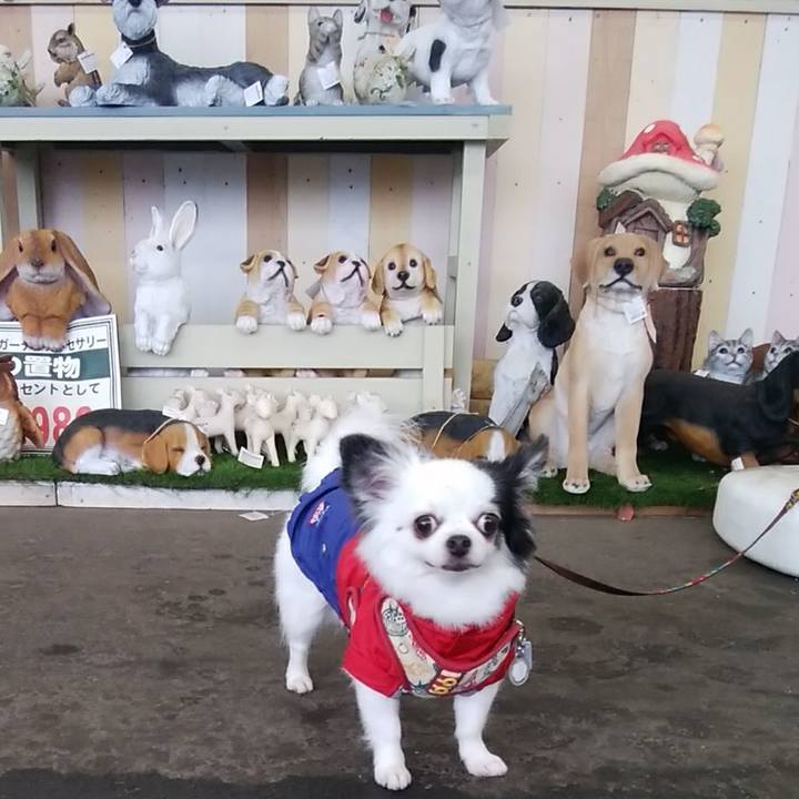 Ee50e17c 3a04 4d40 85f9 169364b4fd9c 1508667377936