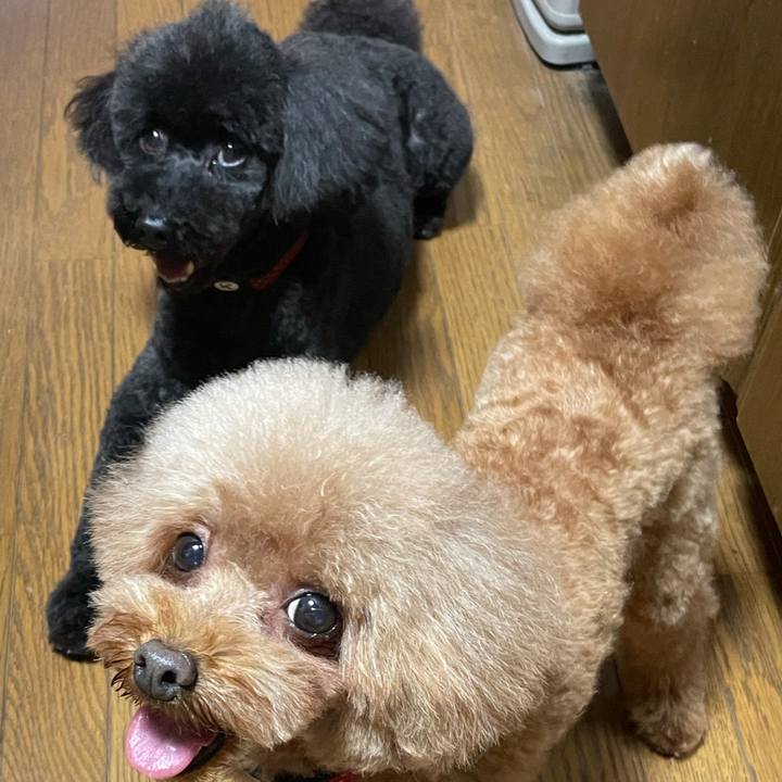 Ee514429 5ead 4b1f 986c c2b1a89b247c 1624754555060