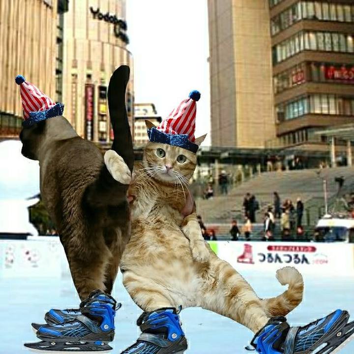 Ee5147b1 7f5e 4f65 b8ad 09f13dbf2618 1547385542518