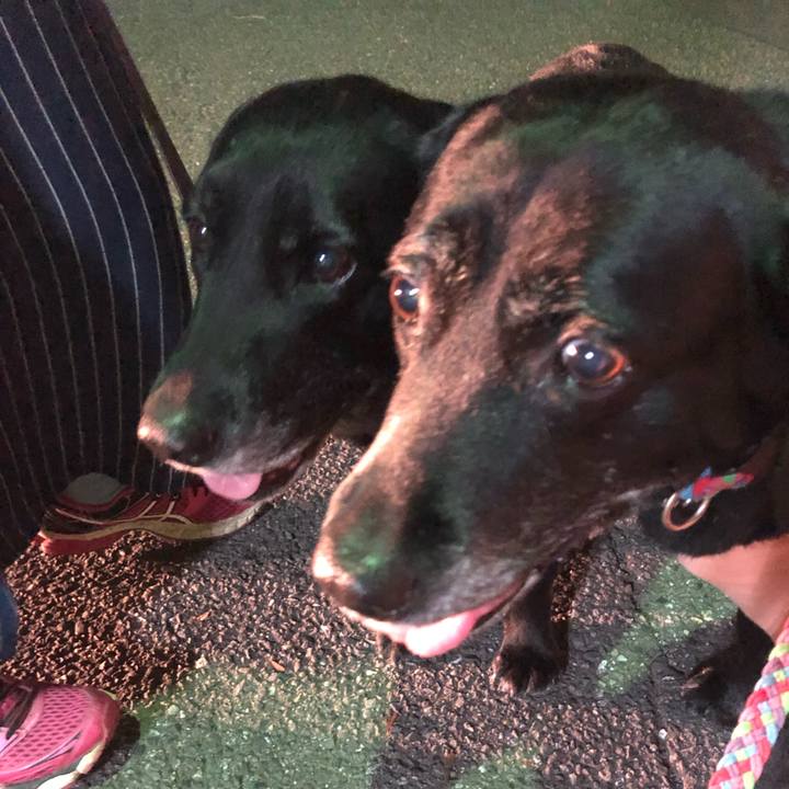 Ee515092 9c3e 4c08 8931 40159a554ef9 1561552166965