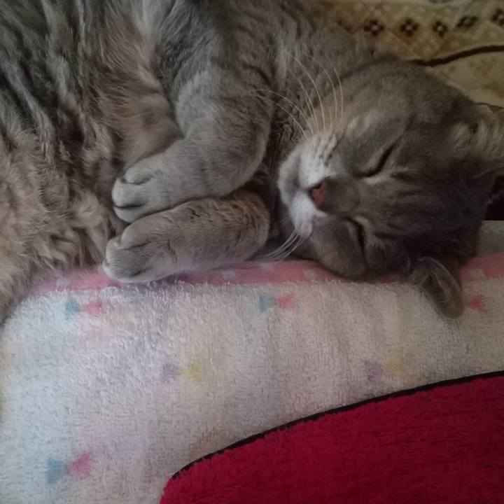 Ee518a55 304a 4399 ac15 8e379686a873 1611468337485