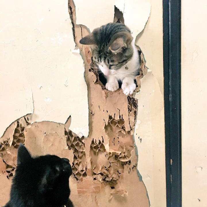 Ee51b913 0dea 4ecc b4d8 0dff49ecb92e 1519529986270