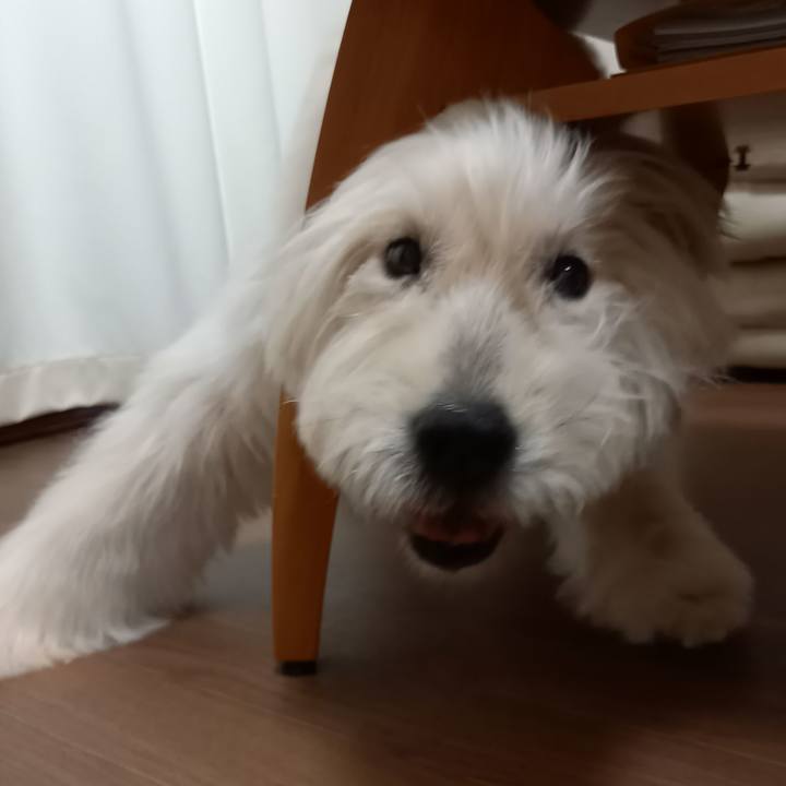 Ee51d94a 4440 4304 899e dcad9d49995e 1627212707349