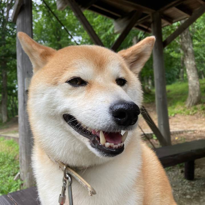 Ee5214bd b436 4f30 bb36 80b804421c2e 1721109313821