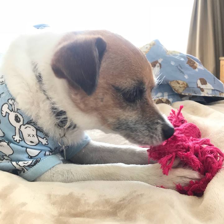 Ee522a1d 6cf6 4afa 93af 70a5c2b881c6 1524871329225