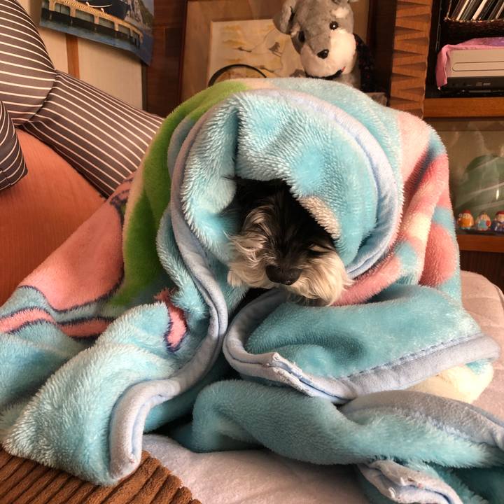 Ee525c56 3f7f 4325 81fc 7b90d5b5ac74 1675573406061