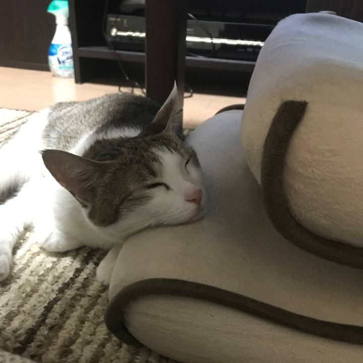 Ee52606b 28aa 4d77 8503 378f45ab450b 1623753981487