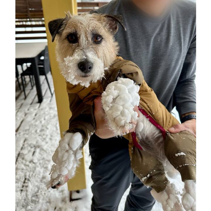 Ee52737e 9913 46a7 9781 77af81cdec13 1738333025447