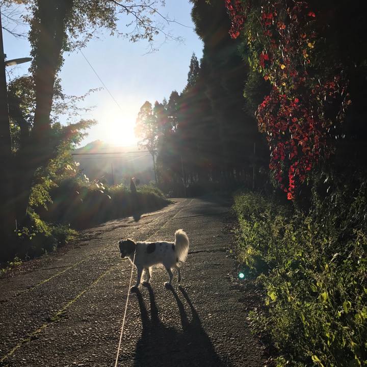 Ee528e1c 9014 4cf5 a2d6 f045b54f3fb9 1508909539521