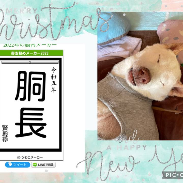 Ee52a129 03b5 4312 842c 7b8e6f29f6ed 1672669460995