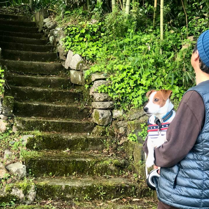 Ee52c8e2 8e31 414c b9e5 5a3c5314bc3d 1681956068522