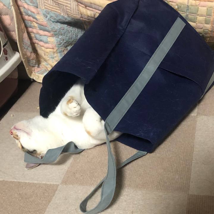 Ee52df3f 9282 4817 a6b3 301b9ad0ad75 1591105127773