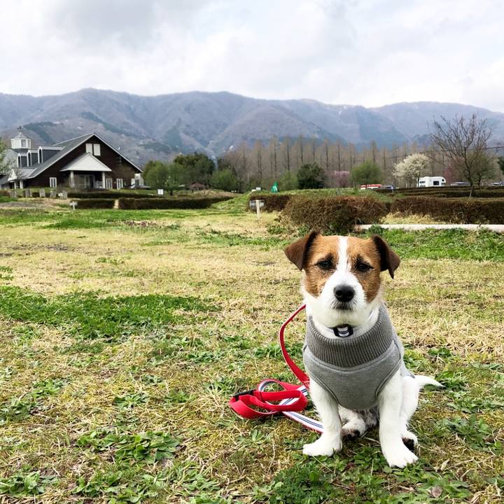 Ee53201c dbce 4449 87dc 796247bb3e18 1523110553613