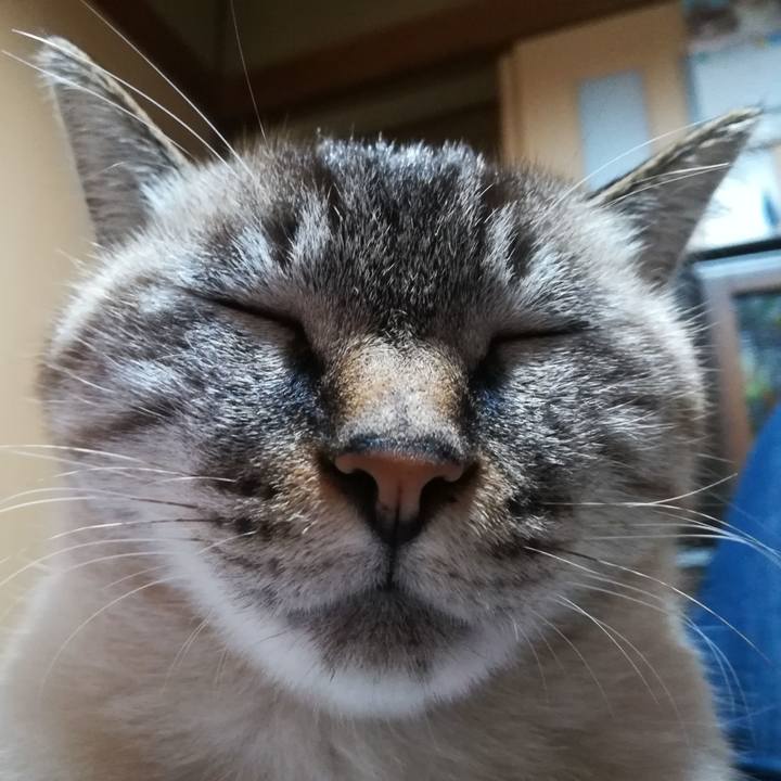 Ee5341a5 cf3c 4ec8 bf38 d308a54cd7a9 1572000925931