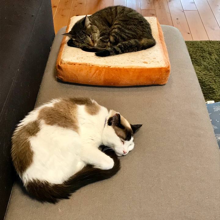 Ee53e9c6 2737 4a67 98b7 2effec1c8be0 1560759287625