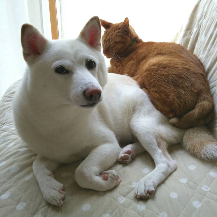 Ee53ed64 8df0 4783 b61d 17457d043224 1558146924453