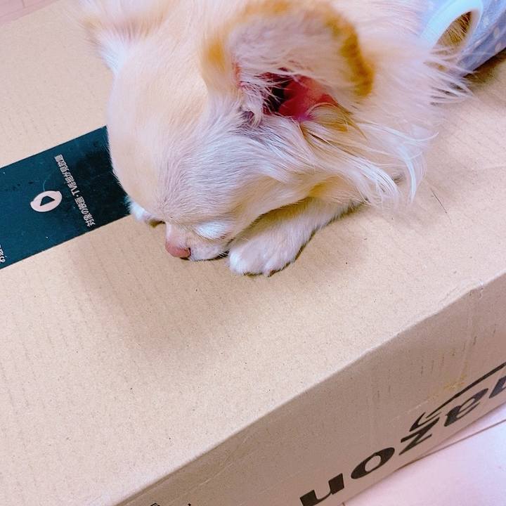 Ee544fad f99a 4384 bd51 278d00e4a1a6 1625882815709