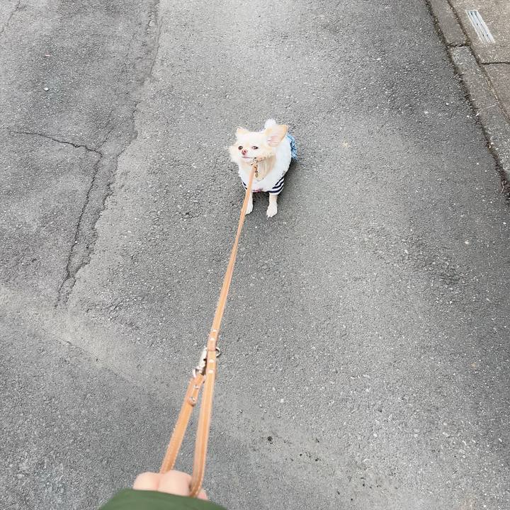 Ee545610 4774 4c7b 8acc fd798ce8b6bd 1702629184330