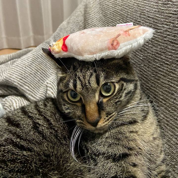 Ee54a3bb aba6 4249 a248 fd6b34cfac05 1647956973898