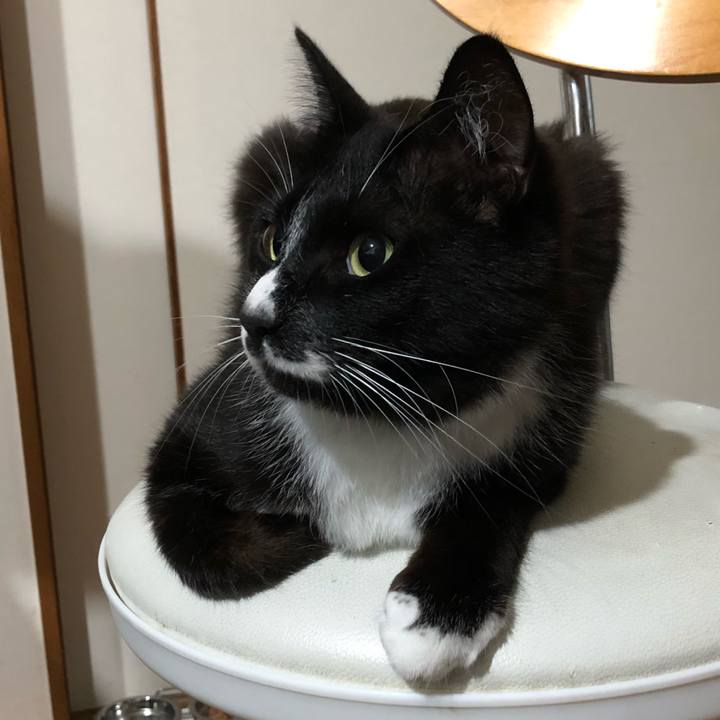 Ee54b759 a717 421a b7e5 7ef2a745df3e 1593487372242