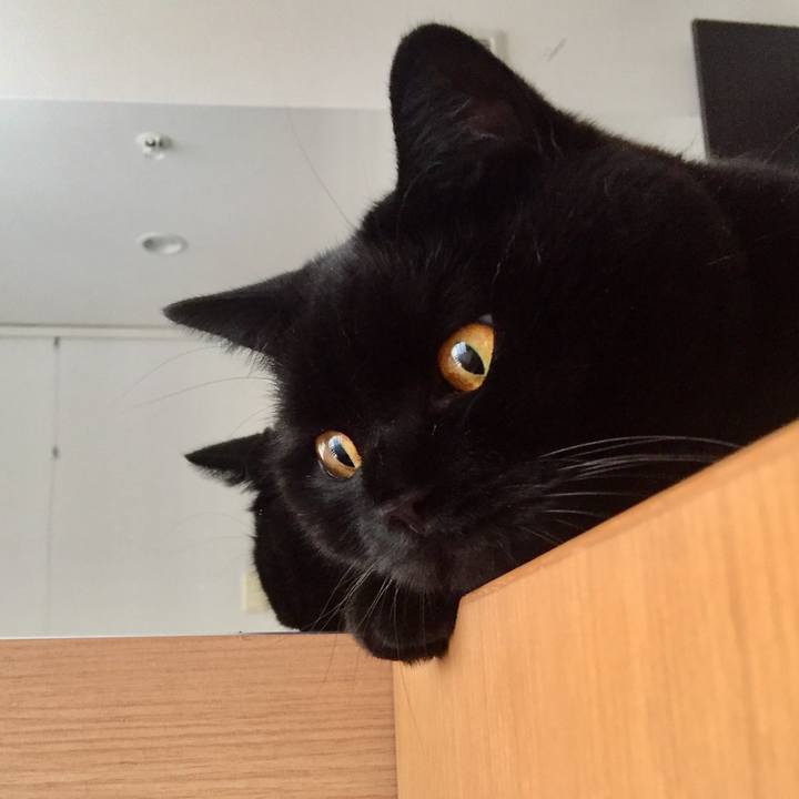 Ee54c56d 6b92 4d7d b7e6 6ee7763133a0 1566958278047