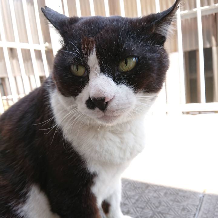 Ee54ccdd 3ccd 4add 8d30 6d509c66122a 1653787333108