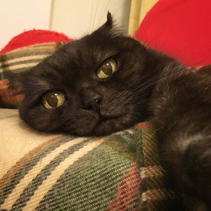 Ee54cee2 9973 46e0 8112 1aeb33b0c357 1541430557892