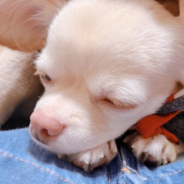 Ee54cf4e c68e 4e9c b13d fcfe900ffbaf 1669521190645