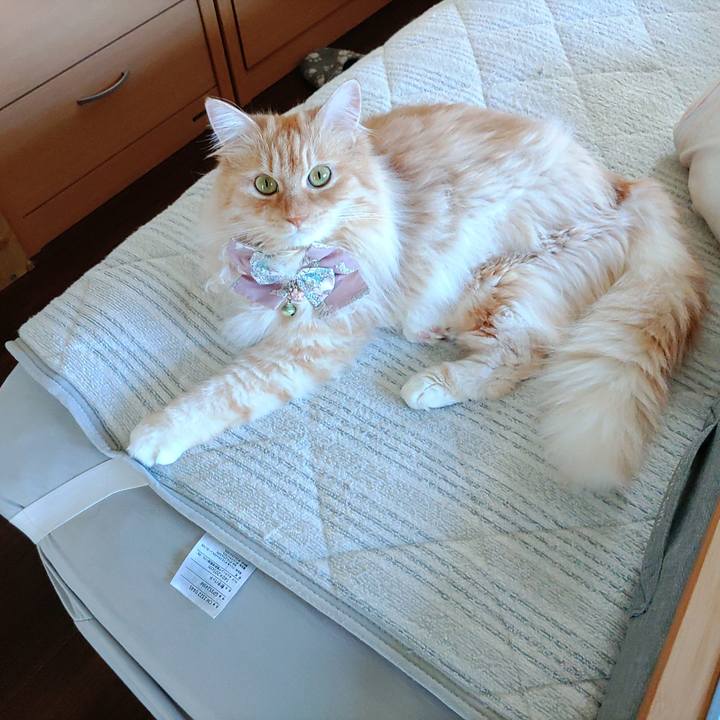 Ee552d08 9656 44b7 83a8 b50d611b167a 1716958151312