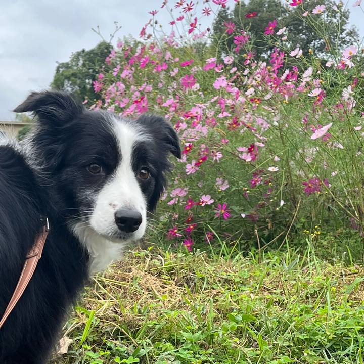 Ee5550fa e7d8 492b 825c 15e3d3144232 1760489127320