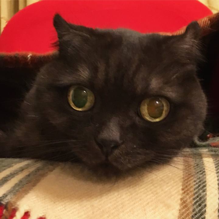 Ee555a86 44b0 45be 90f8 25adff0af82e 1541680832588