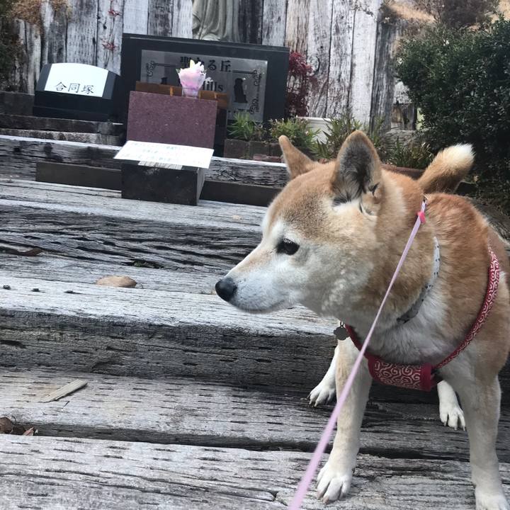 Ee55787a baf7 4af3 8d0a a2868f7701a6 1611180481898