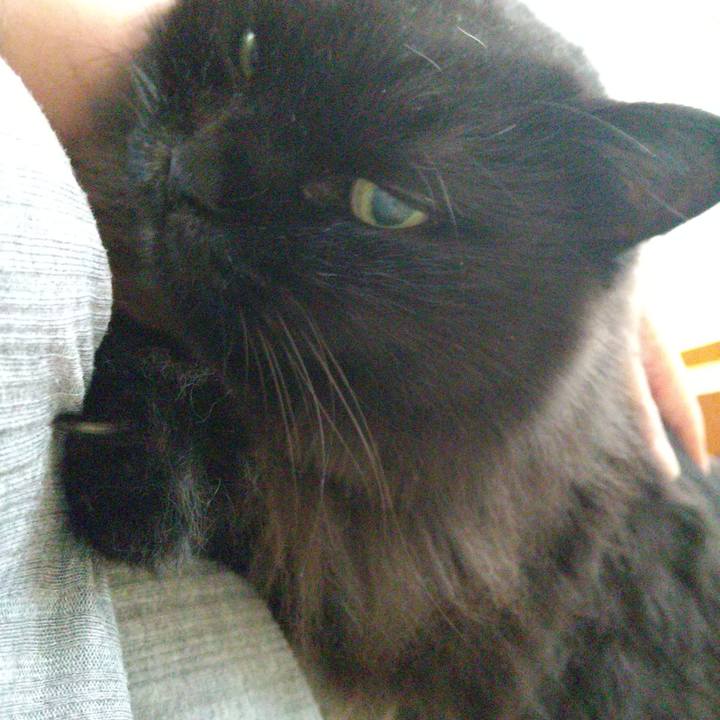 Ee55e820 7b79 4a94 8b32 b1bee1ab09d3 1661151822315