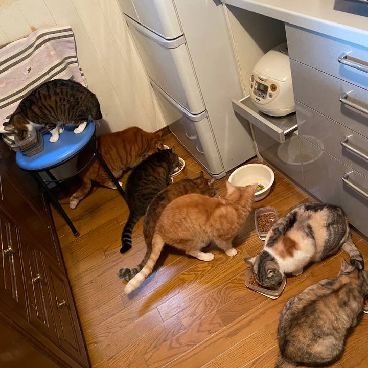 Ee566214 c85a 4c7e a0e1 8ad90f14c6a9 1585622778818