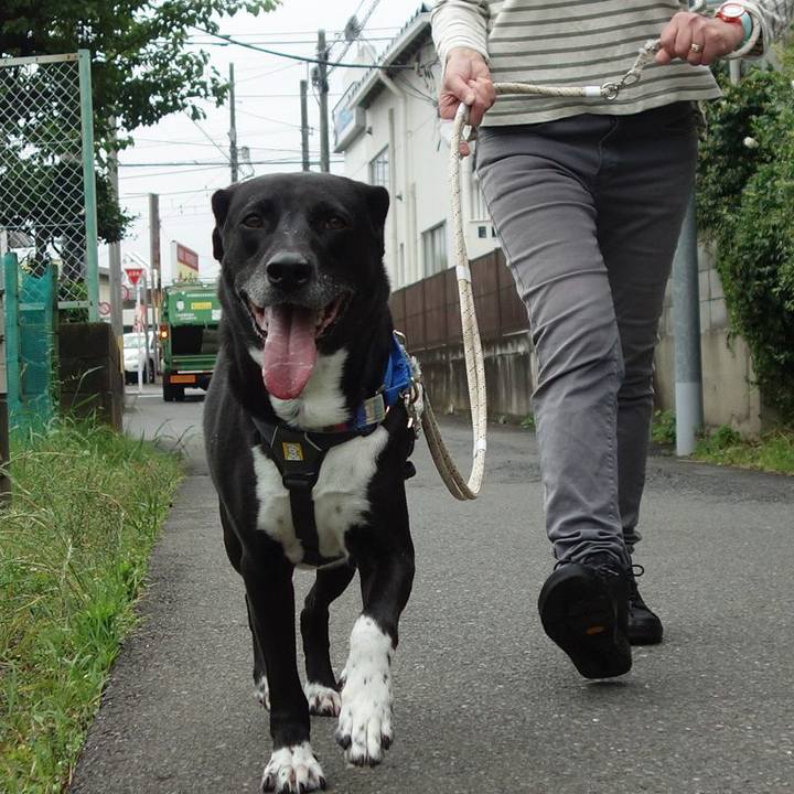 Ee56be32 6007 4d74 93dd 73fbf97c8780 1654648525869