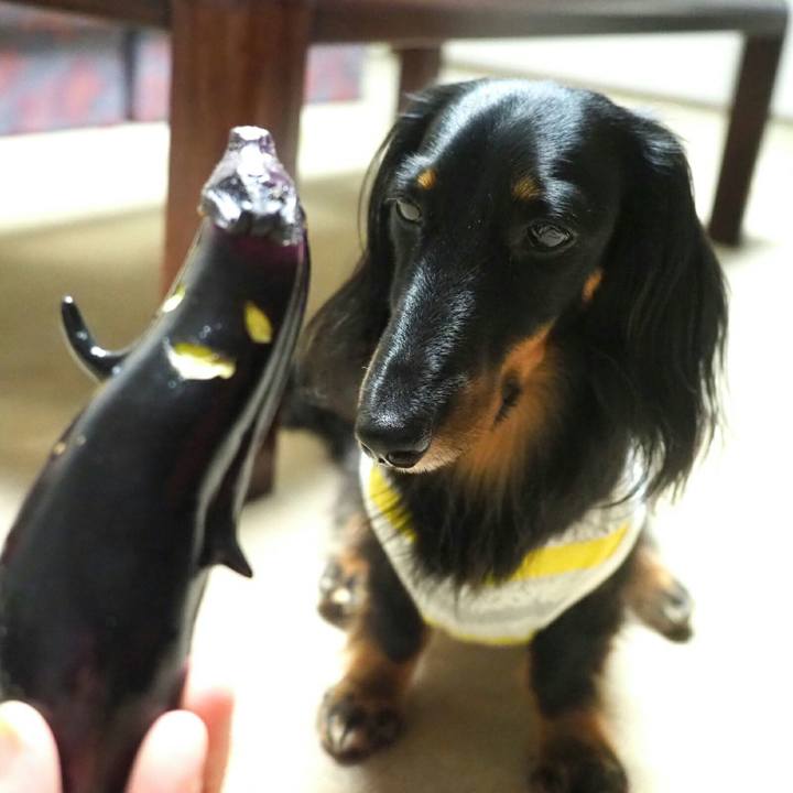 Ee56d7f2 d63e 4091 ab0e 68815e04a525 1564191778066