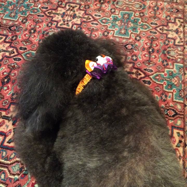 Ee56e83e 0d88 46d0 a6a5 692276a21ef1 1507863844735