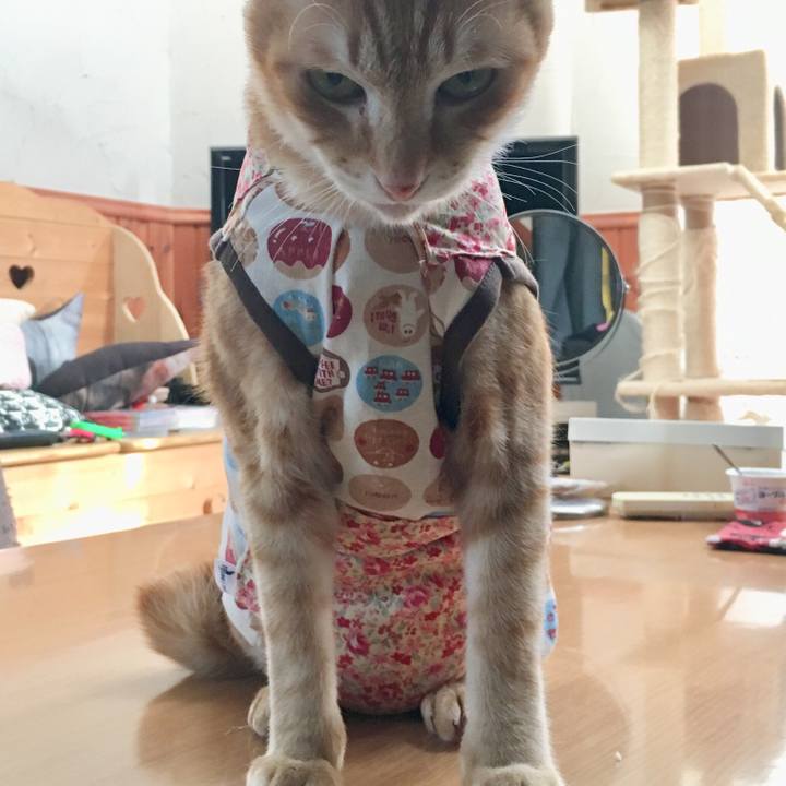 Ee56ec54 c49d 4e73 ba0d 82e1220971b4 1515912008629