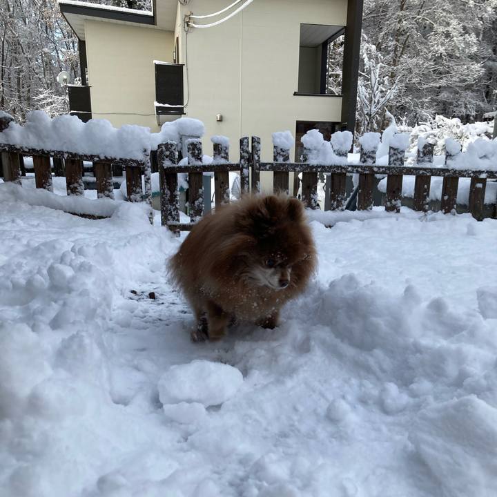 Ee56ee39 d415 40a8 90ef 6ceae6c242bc 1733001976068