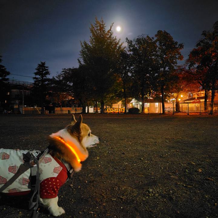 Ee572c0e b511 4819 8a51 fb08e804c7c5 1762336236101