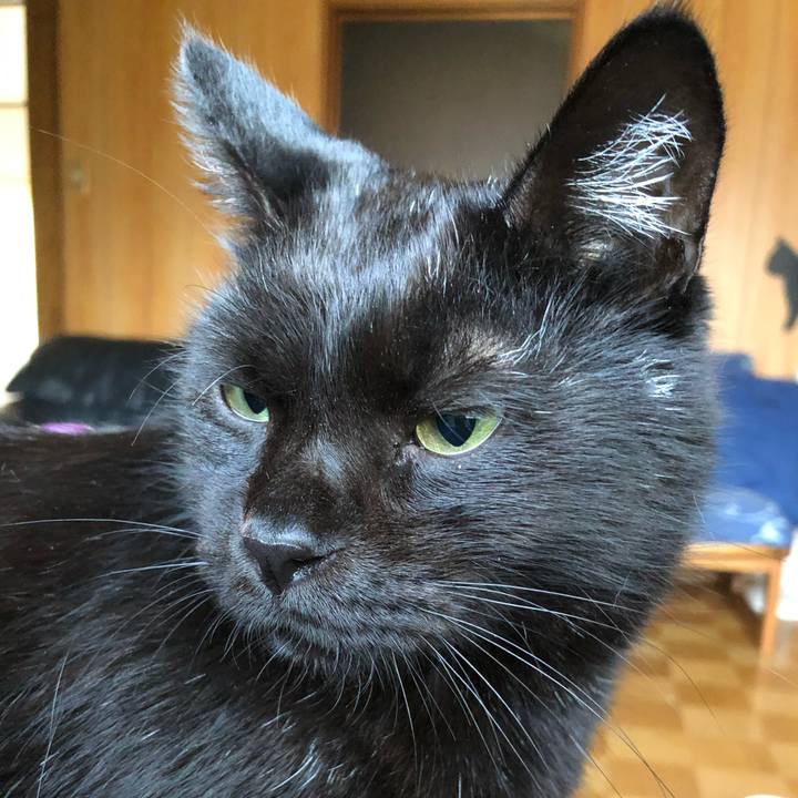 Ee572d12 084d 435a a6f8 58bd604baa89 1569966022252