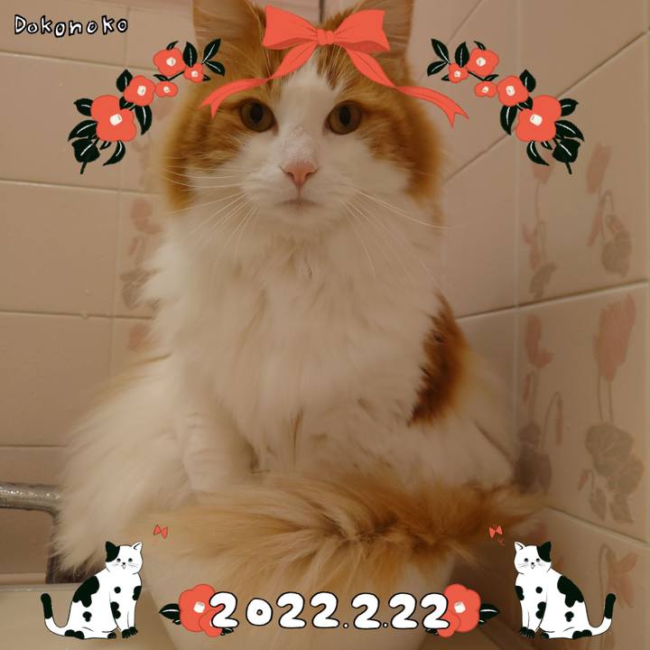 Ee5768a9 4a22 458d 93e1 05d9f127c1ee 1645496236321